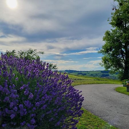 Unterbrandlberg Appartement Steinbach an der Steyr Buitenkant foto